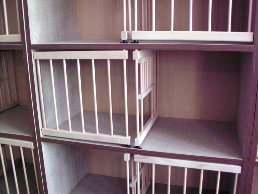 HPIM1396 - RAFT VADUVIE - 325 lei