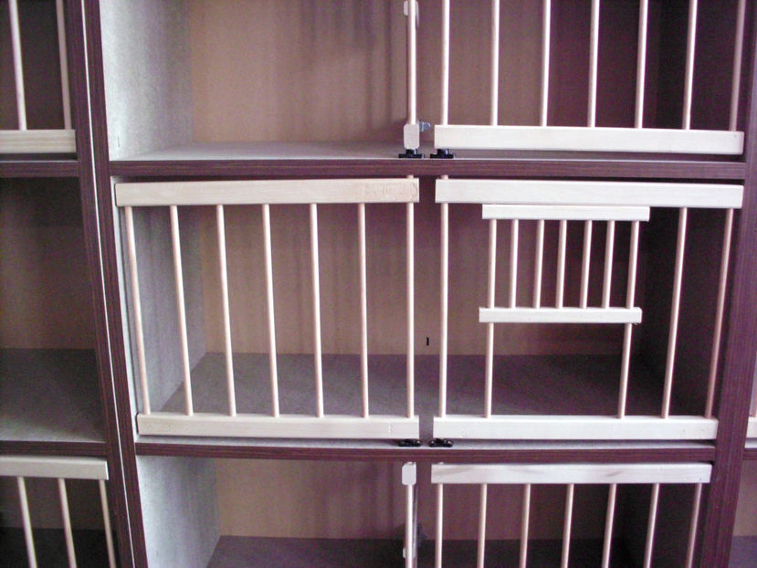 HPIM1397 - RAFT VADUVIE - 325 lei