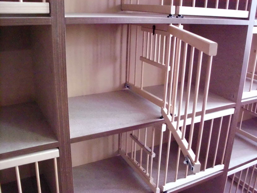 HPIM1398 - RAFT VADUVIE - 325 lei