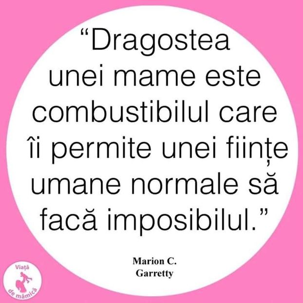  - Poze 4