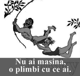  - Poze 4