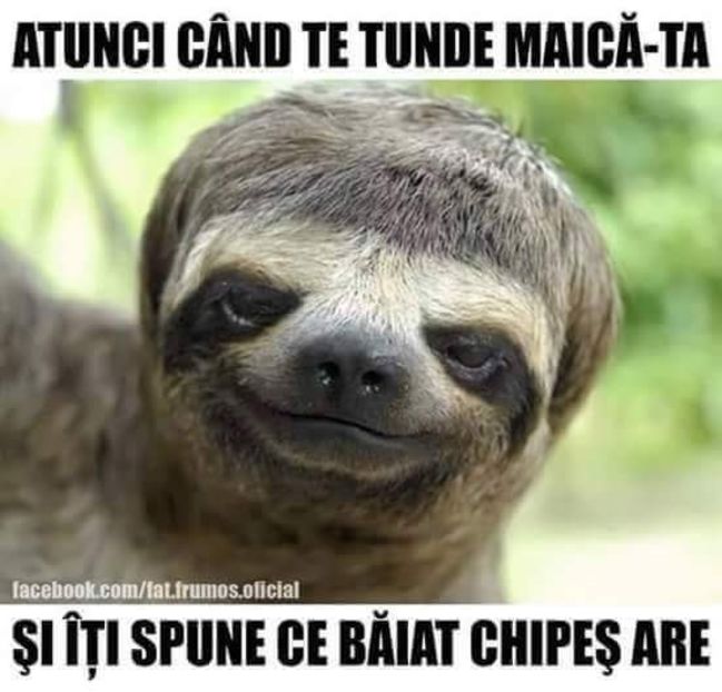  - Poze 4