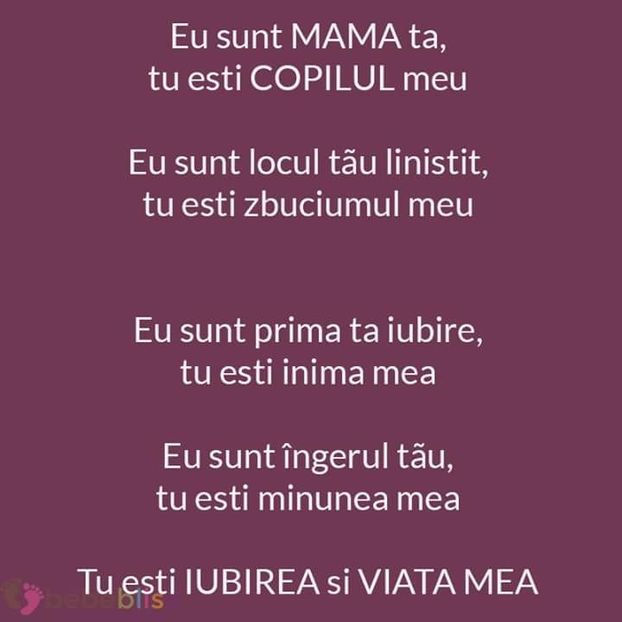  - Poze 4