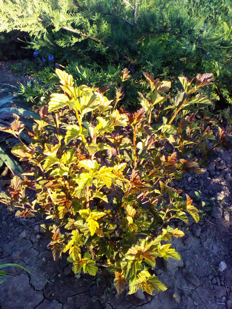  - curtea cu toate cele 2018