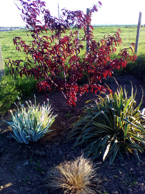  - curtea cu toate cele 2018