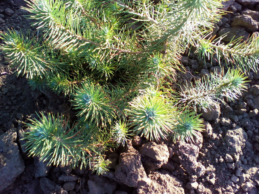  - curtea cu toate cele 2018