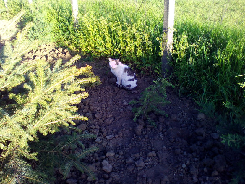 2 - curtea cu toate cele 2018