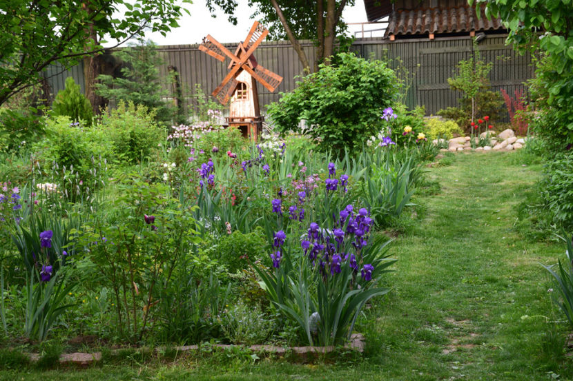  - 2018_Idilic Garden_lalele
