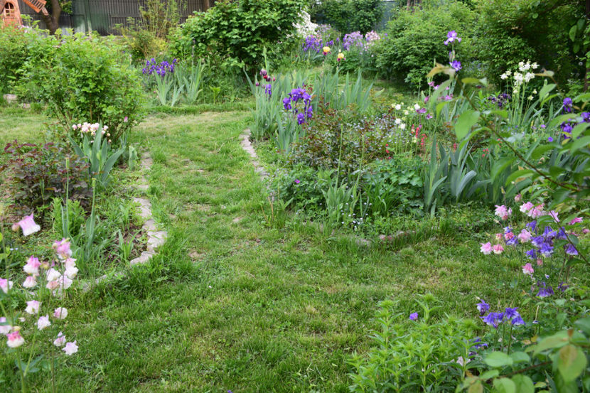  - 2018_Idilic Garden_lalele