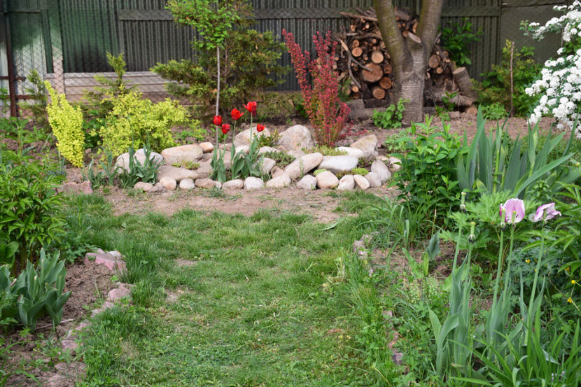  - 2018_Idilic Garden_lalele