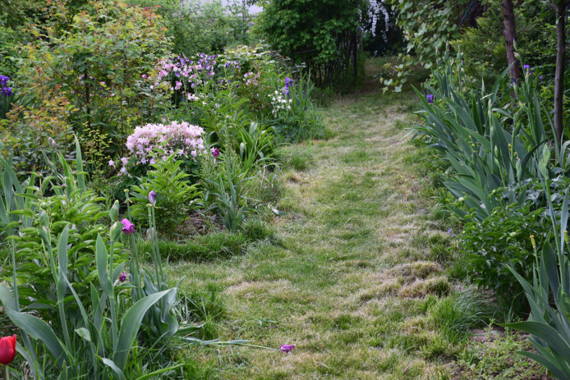  - 2018_Idilic Garden_lalele