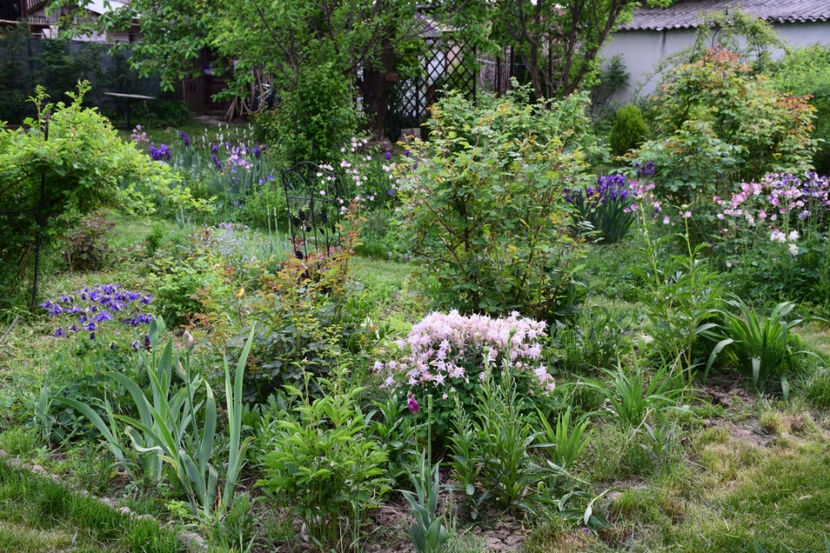  - 2018_Idilic Garden_lalele