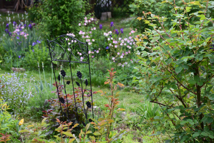  - 2018_Idilic Garden_lalele