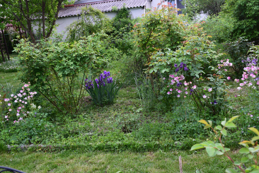  - 2018_Idilic Garden_lalele