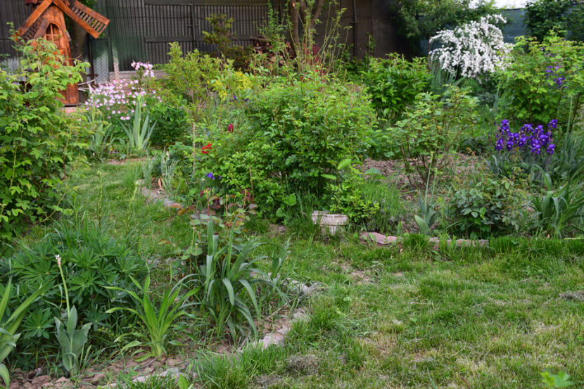  - 2018_Idilic Garden_lalele
