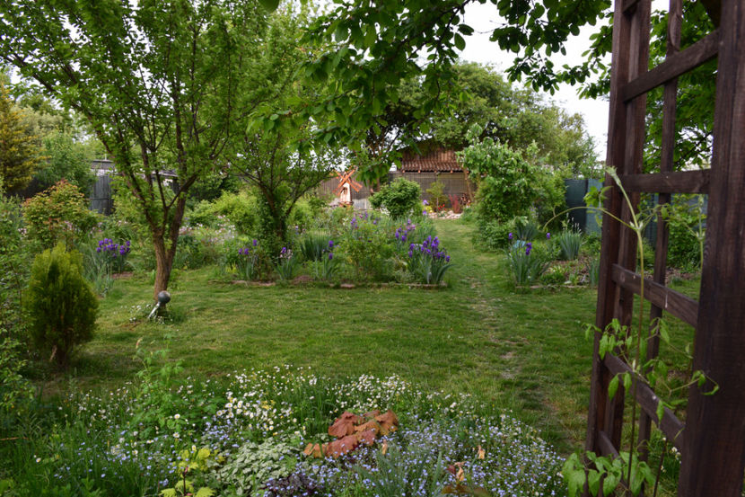  - 2018_Idilic Garden_lalele