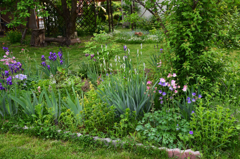  - 2018_Idilic Garden_lalele