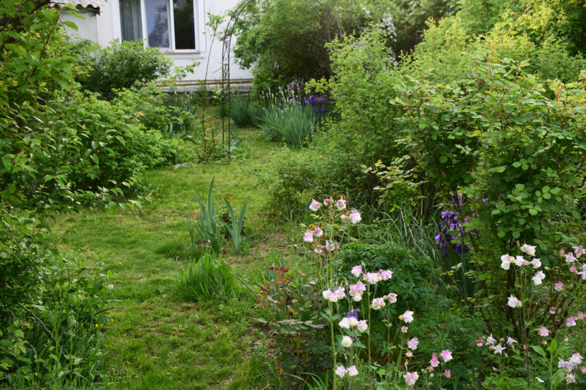  - 2018_Idilic Garden_lalele