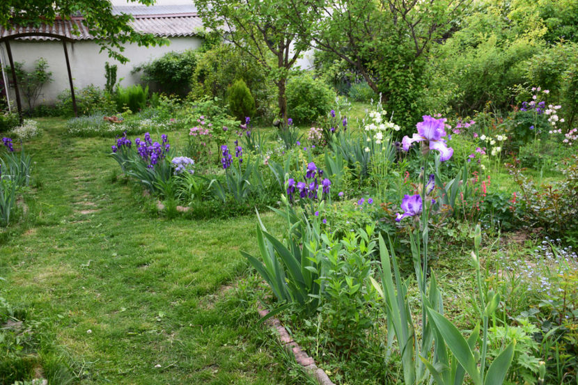  - 2018_Idilic Garden_lalele