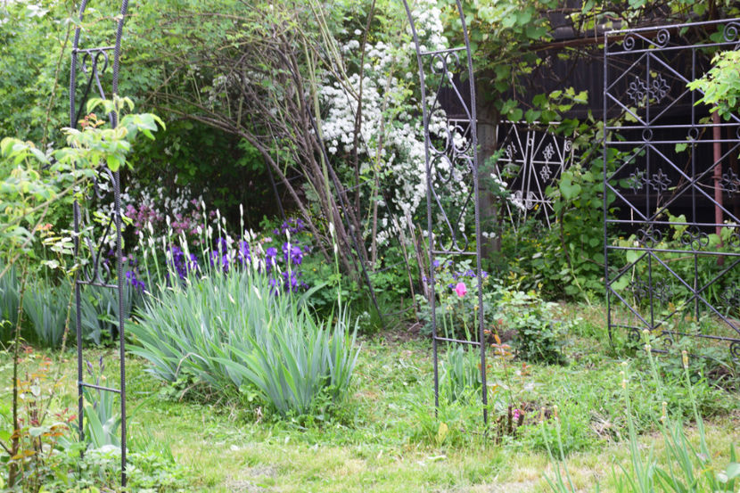  - 2018_Idilic Garden_lalele