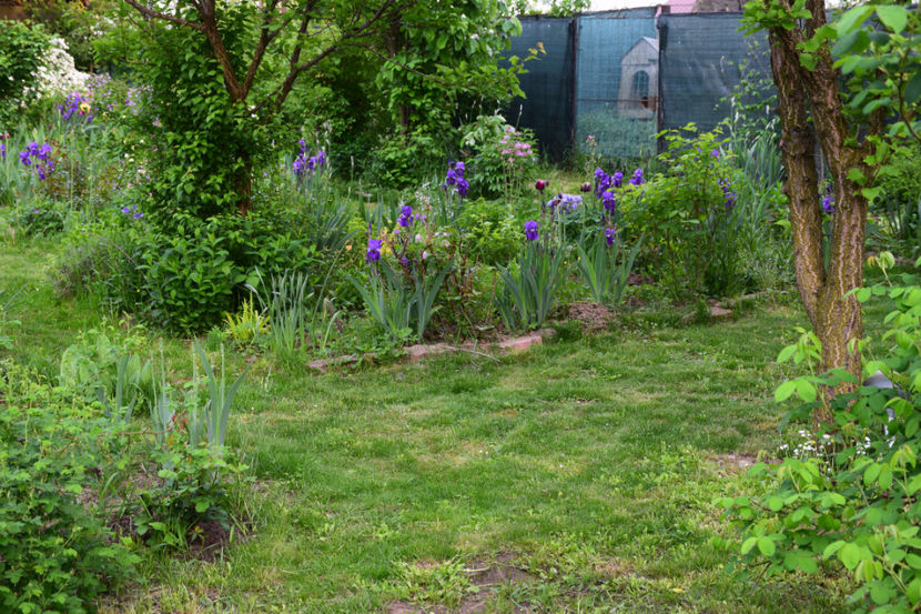  - 2018_Idilic Garden_lalele