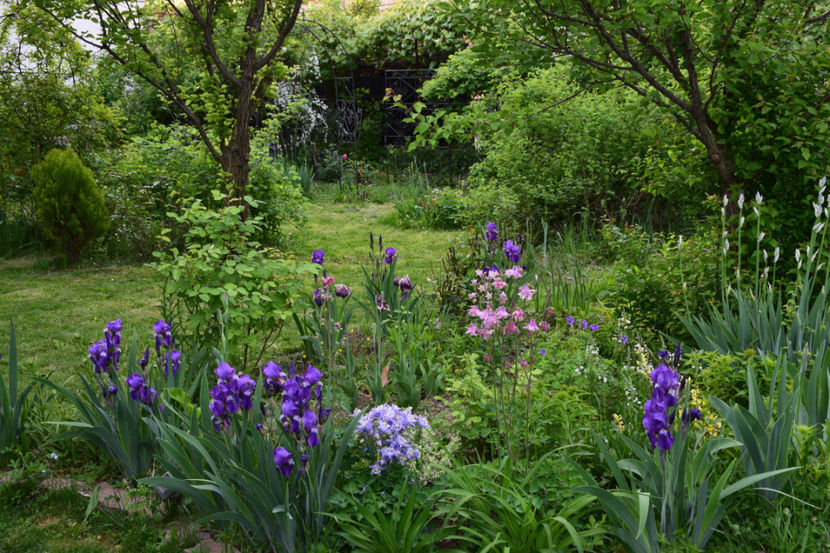 2018 - Z_FAVORITELE gradinii mele