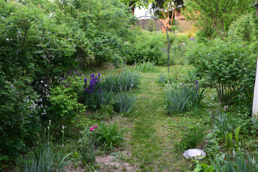  - 2018_Idilic Garden_lalele