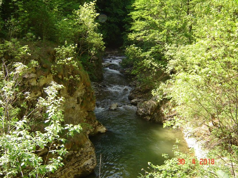  - 2018 04 30 SOHODOL