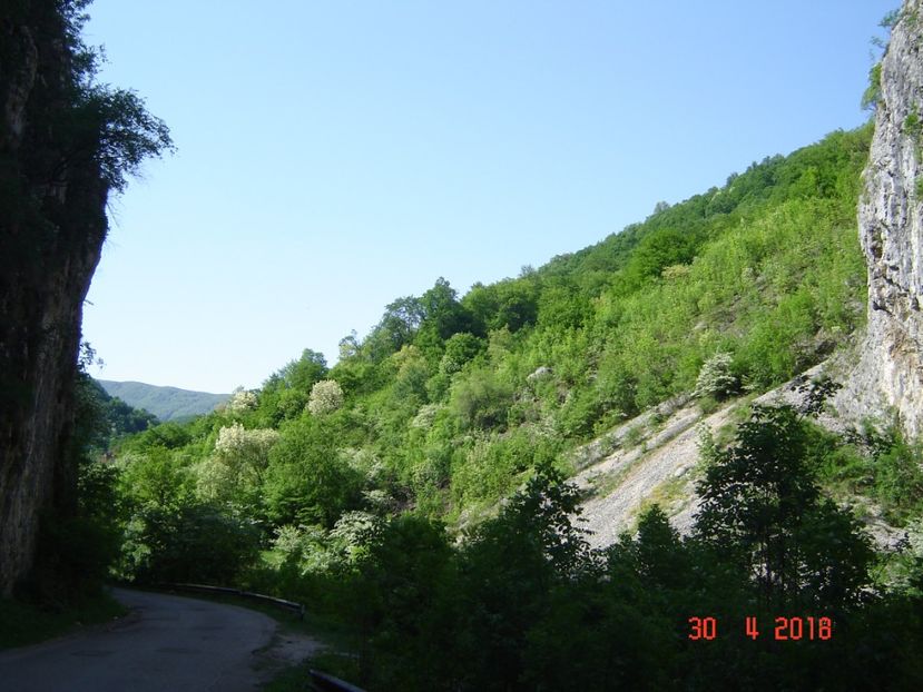  - 2018 04 30 SOHODOL