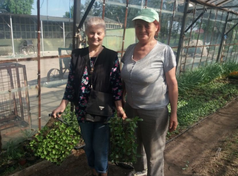 Mama in fosta ei sera.. - 2018 plantele mele