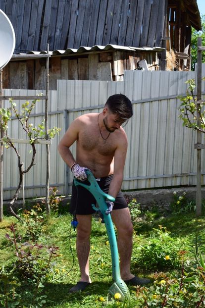  - 000000000000001   GRADINA MEA