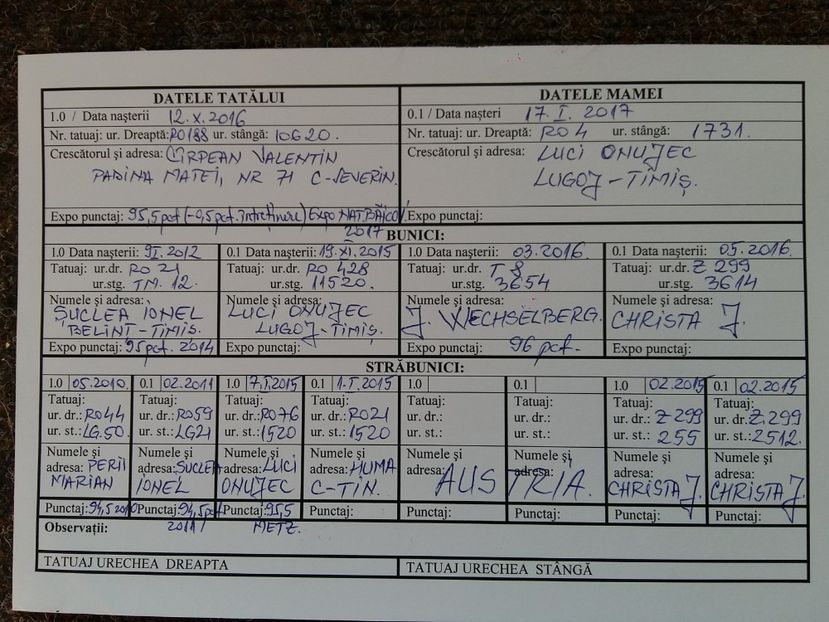 M  RO 7  127215 - TINERET 2018