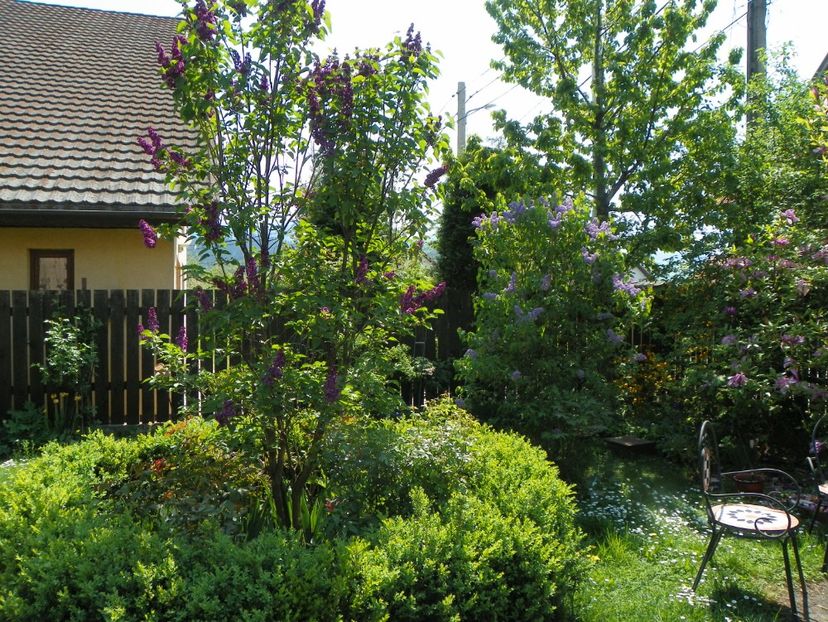 25 apr (76) - Gradina 2018