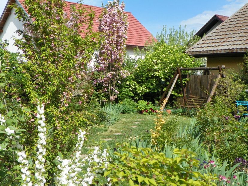 25 apr (140) - Gradina 2018