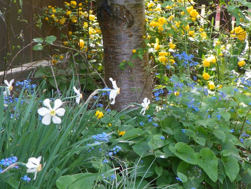 25 apr (23) - Primavara 2018