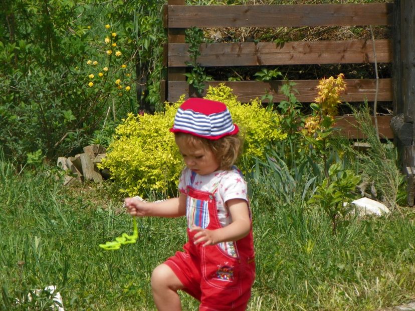 30 apr (14) - z-Dobarland 2018