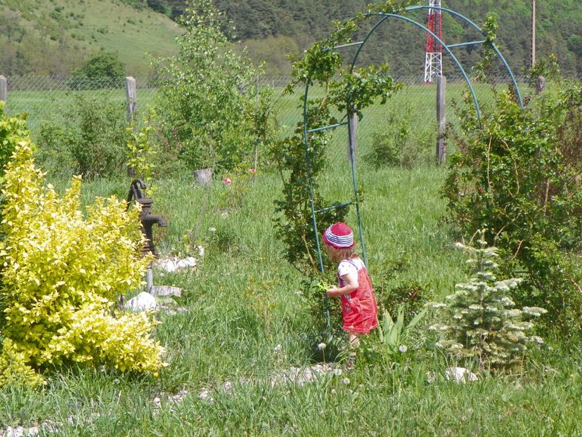 30 apr (38) - z-Dobarland 2018