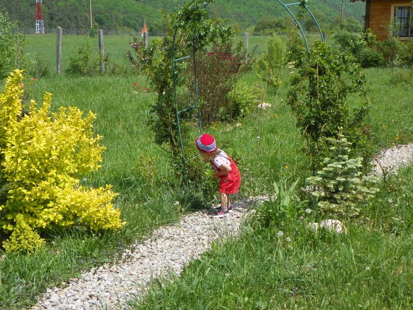 unde sunt gainile??? - z-Dobarland 2018