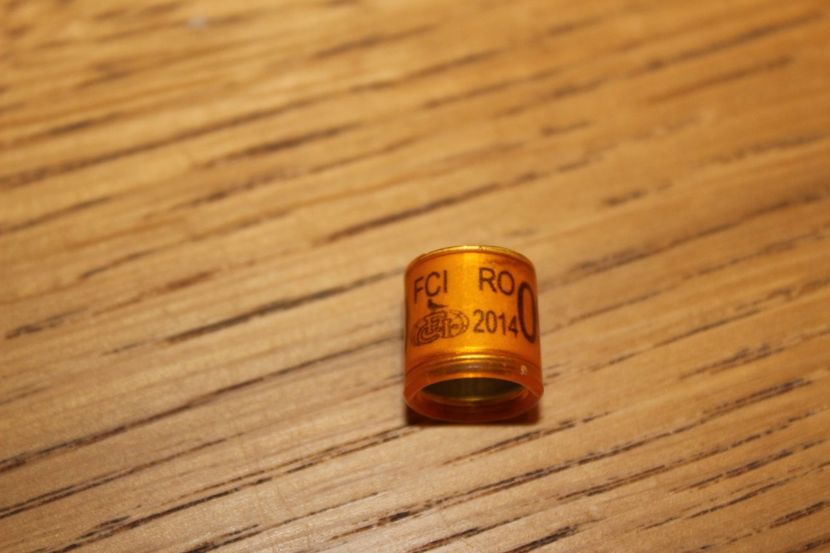 RO FCI  2014 - INELE PENTRU SCHIMB csere gyuru