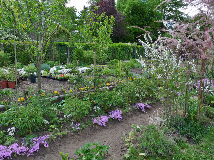  - 2018 - 01 - Primavara