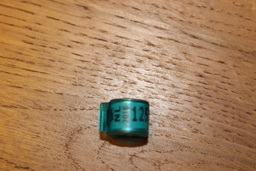 NL  2o16 - INELE PENTRU SCHIMB csere gyuru