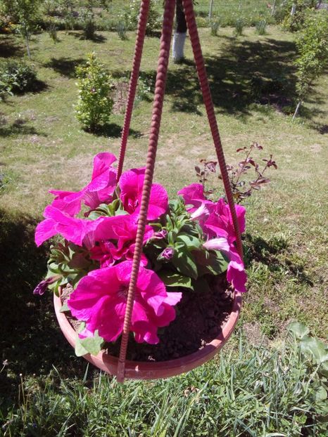  - AAAAA_PRIMAVARA_VARA 2018