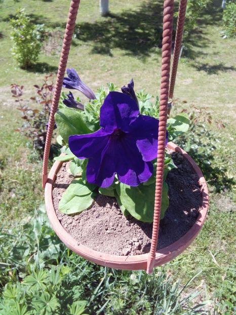  - AAAAA_PRIMAVARA_VARA 2018