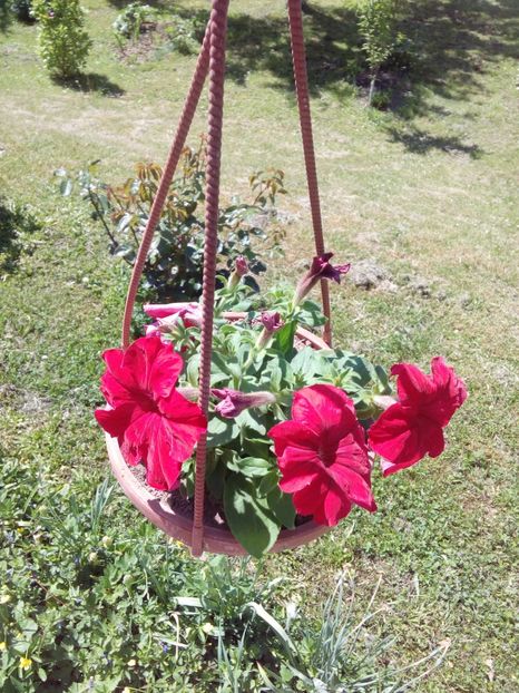  - AAAAA_PRIMAVARA_VARA 2018