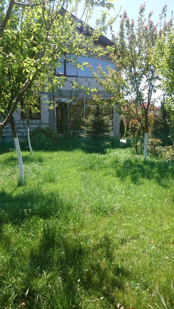  - Gradina primavara 2018