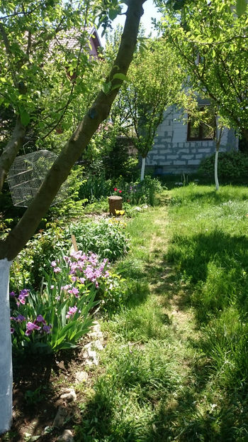  - Gradina primavara 2018