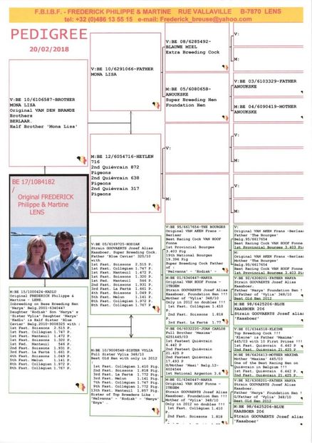 1084182ped - Achizitii - 2018 - matca