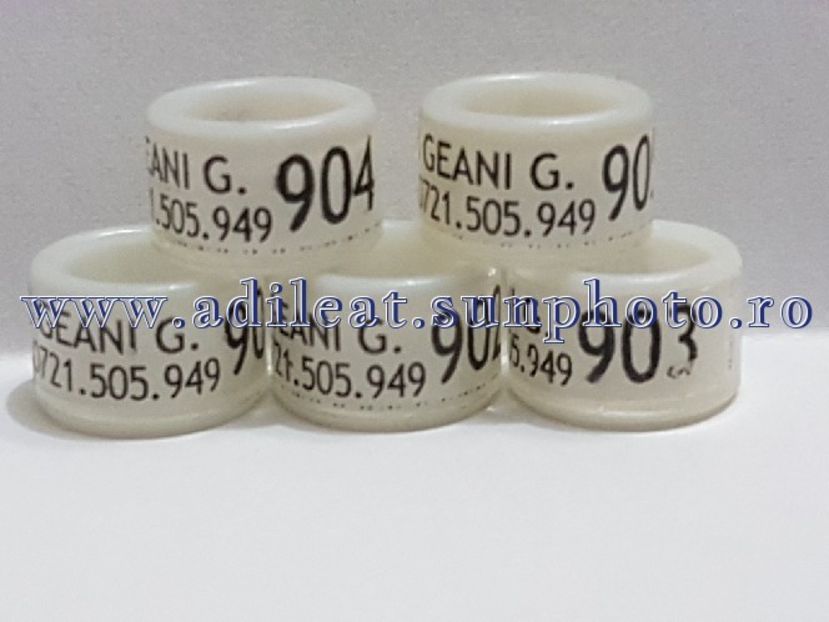 TextArt_180502212450 - 1-A-INELE PERSONALIZATE 2018