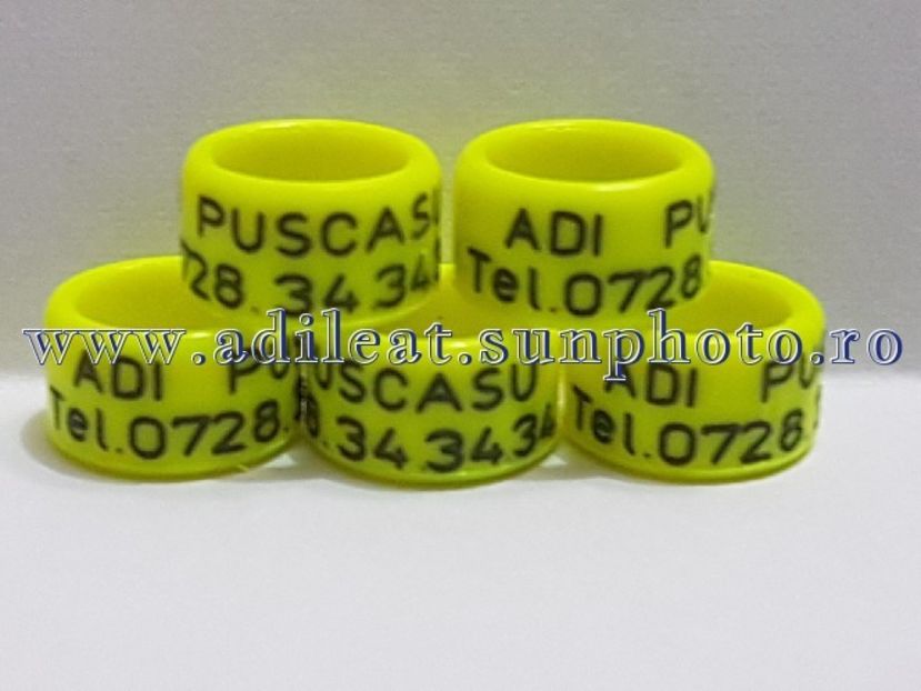 TextArt_180502212342 - 1-A-INELE PERSONALIZATE 2018