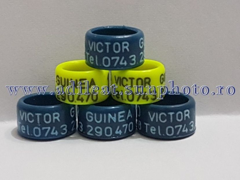 TextArt_180502212320 - 1-A-INELE PERSONALIZATE 2018